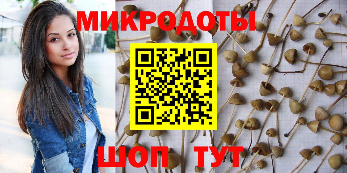Галлюциногенные грибы MAGIC MUSHROOMS  Вход с VPN  Красноярск  Псилоцибиновые грибы мухоморы 